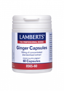 Lamberts Lamberts Ginger 60caps